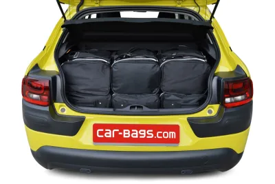 C4 Cactus